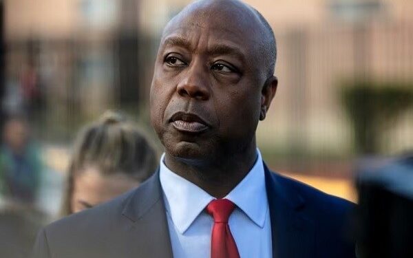 Thêm ứng viên Cộng hòa từ bỏ tranh cử tổng thống Mỹ