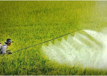 Sử dụng thuốc bảo vệ thực vật và an toàn thực phẩm