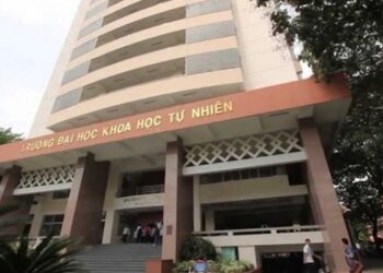 Giảng viên dùng bằng tiến sĩ giả chưa từng học ở Trường đại học Khoa học tự nhiên