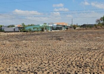 Vì sao hạn mặn ở ĐBSCL đến sớm và khốc liệt hơn mọi năm?