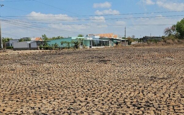 Vì sao hạn mặn ở ĐBSCL đến sớm và khốc liệt hơn mọi năm?