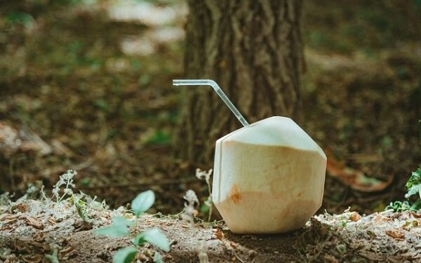 Lợi ích giảm cân của nước dừa