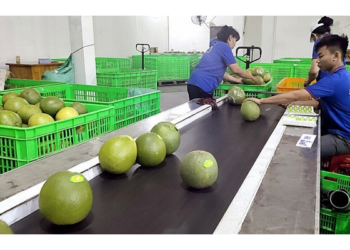 Mệt mỏi kéo dài cảnh báo nhiều bệnh lý nguy hiểm, đừng xem nhẹ