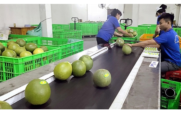 Mệt mỏi kéo dài cảnh báo nhiều bệnh lý nguy hiểm, đừng xem nhẹ