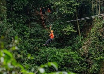 Đu dây khám phá hố sụt Ác Mộng trong Vườn Quốc gia Phong Nha – Kẻ Bàng